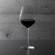 將圖片載入圖庫檢視器 PIVO ALLORA 525
